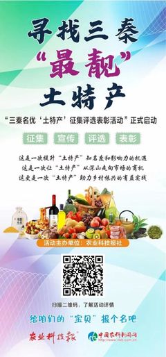 三秦“最靚”土特產展播（三十四） 匠心孕育，淳樸天然的秦風佳品